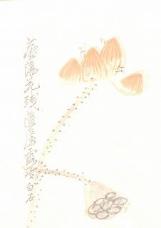 華東貿易 印譜 原石 銅版 木版水印・線装本